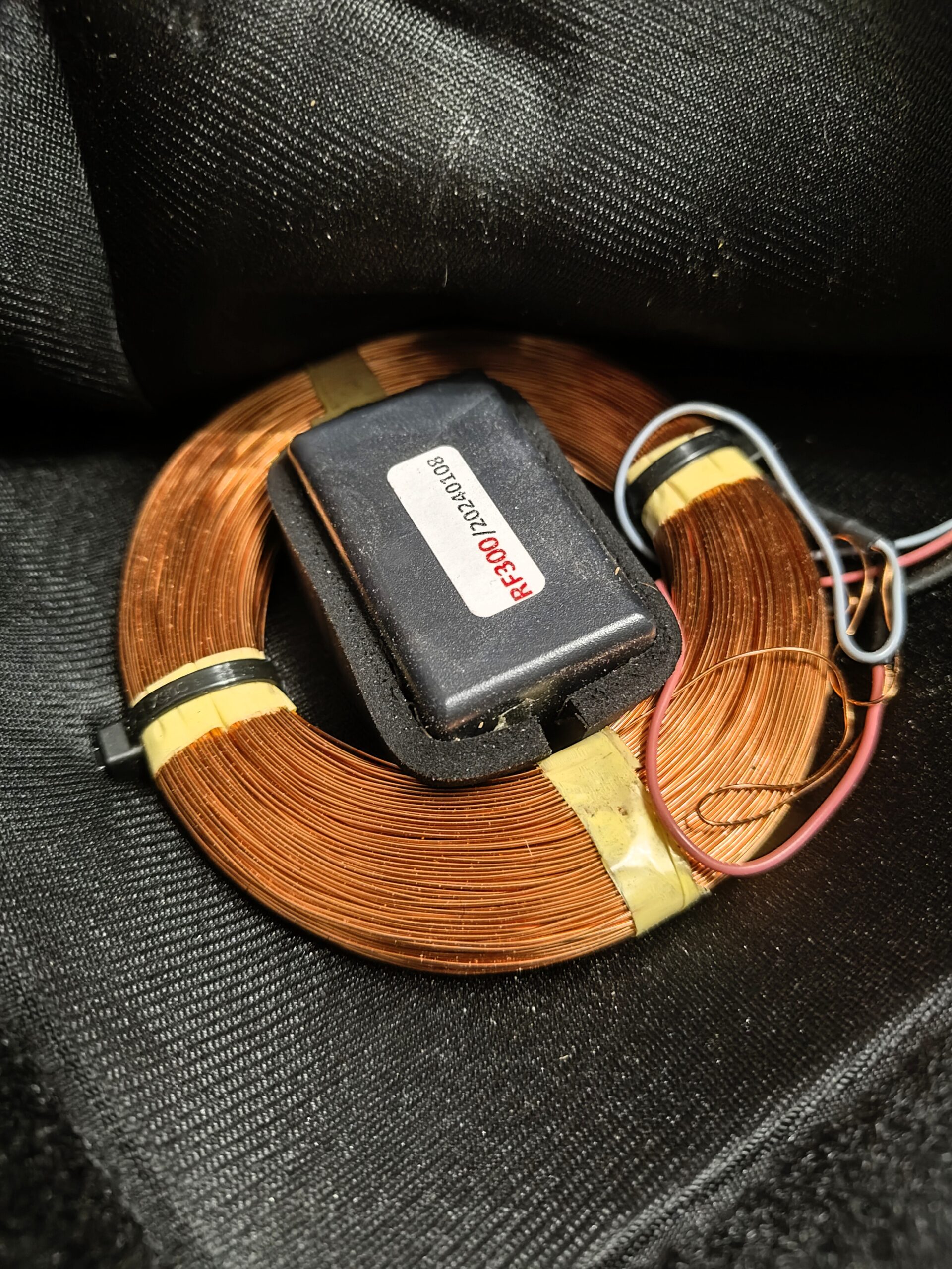 Cewka PEMF do terapii koni