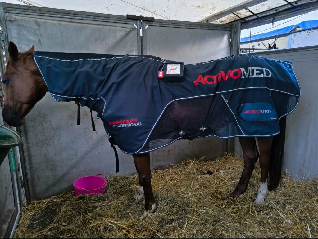 zestaw ActivoMed dla koni w czasie regeneracji po zawodach skokowych
