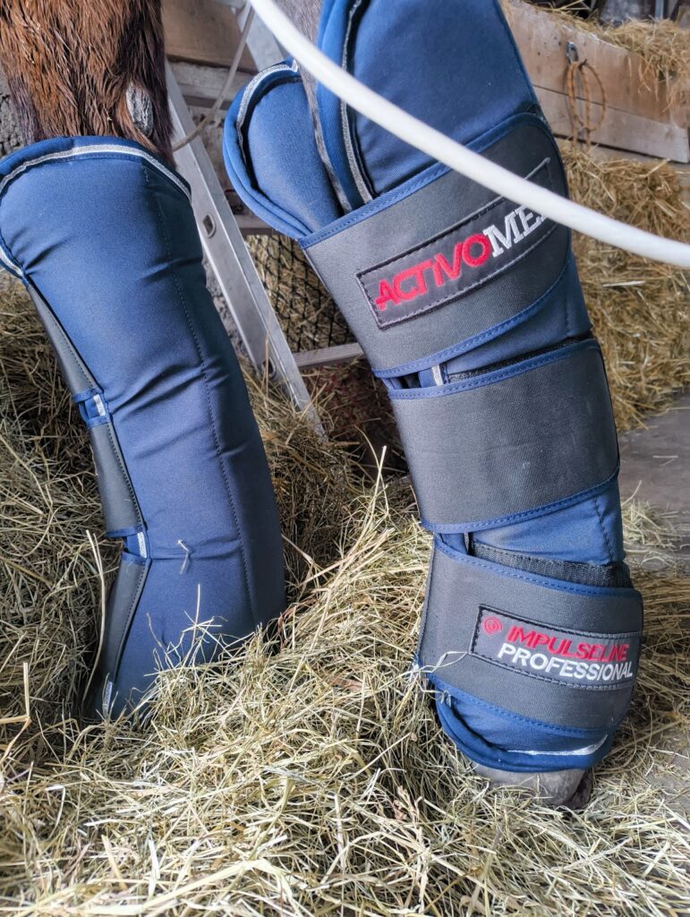 Ochraniacze ActivoMed dla koni – model COMBI na kończynach podczas terapii