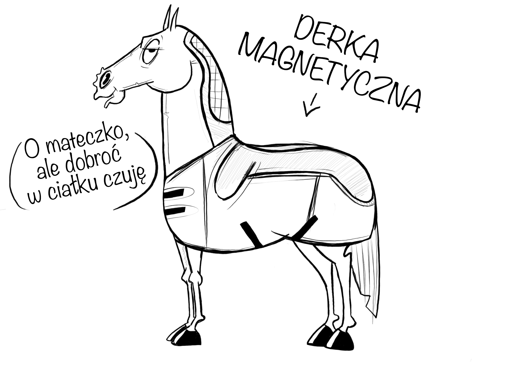 Magnetoterapia koni – koń w derce magnetycznej czujący ulgę po zabiegu