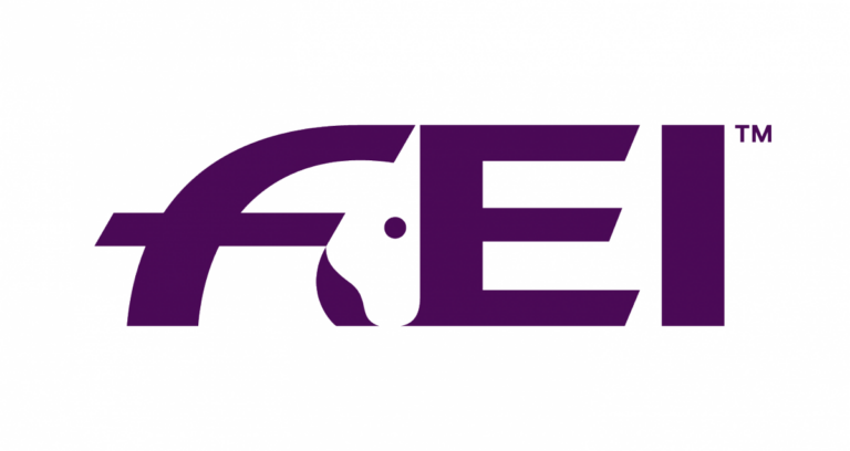 FEI logo