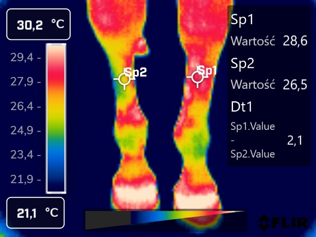 zobrazowanie termograficzne doczaszkowe kończyn piersiowych