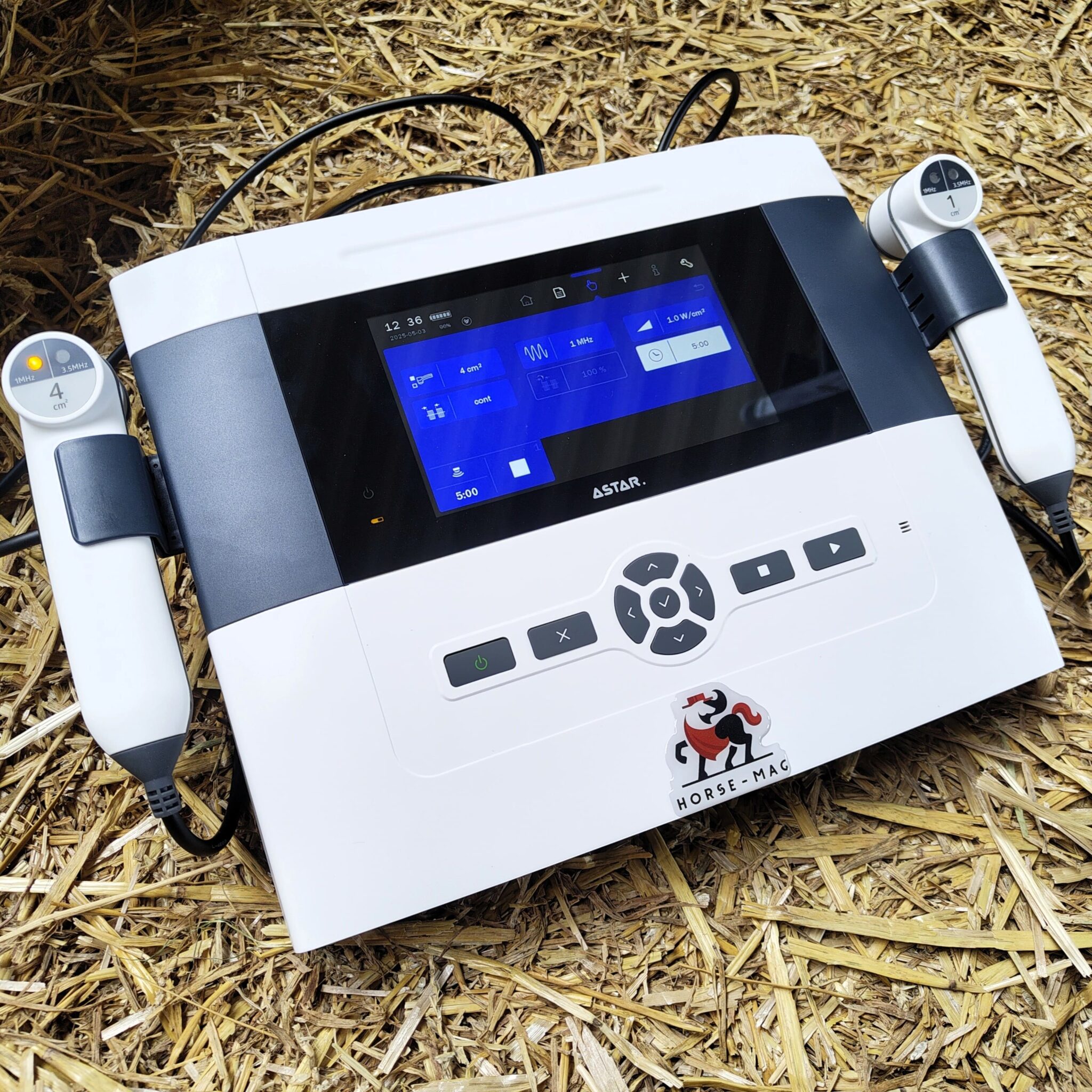 Aparat PHYSIOGO 201A do terapii ultradźwiękami z widocznymi głowicami terapeutycznymi, wykorzystywany w rehabilitacji zwierząt