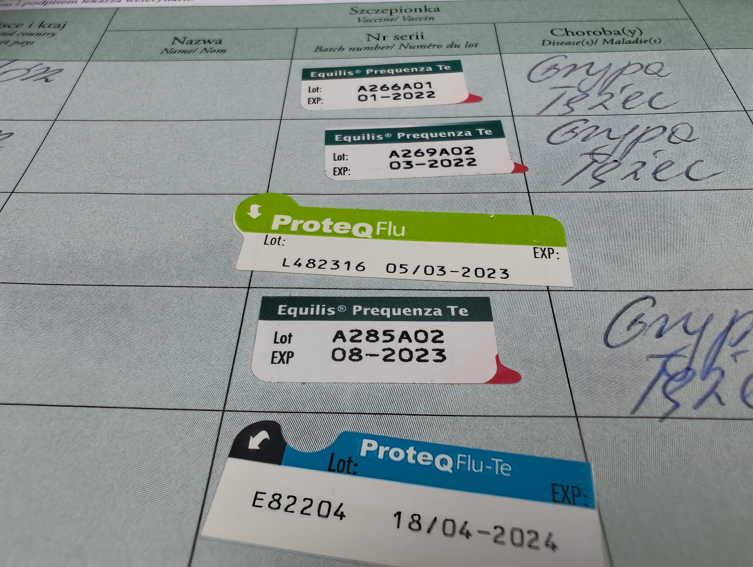 strona z paszportu konia ze szczepieniami