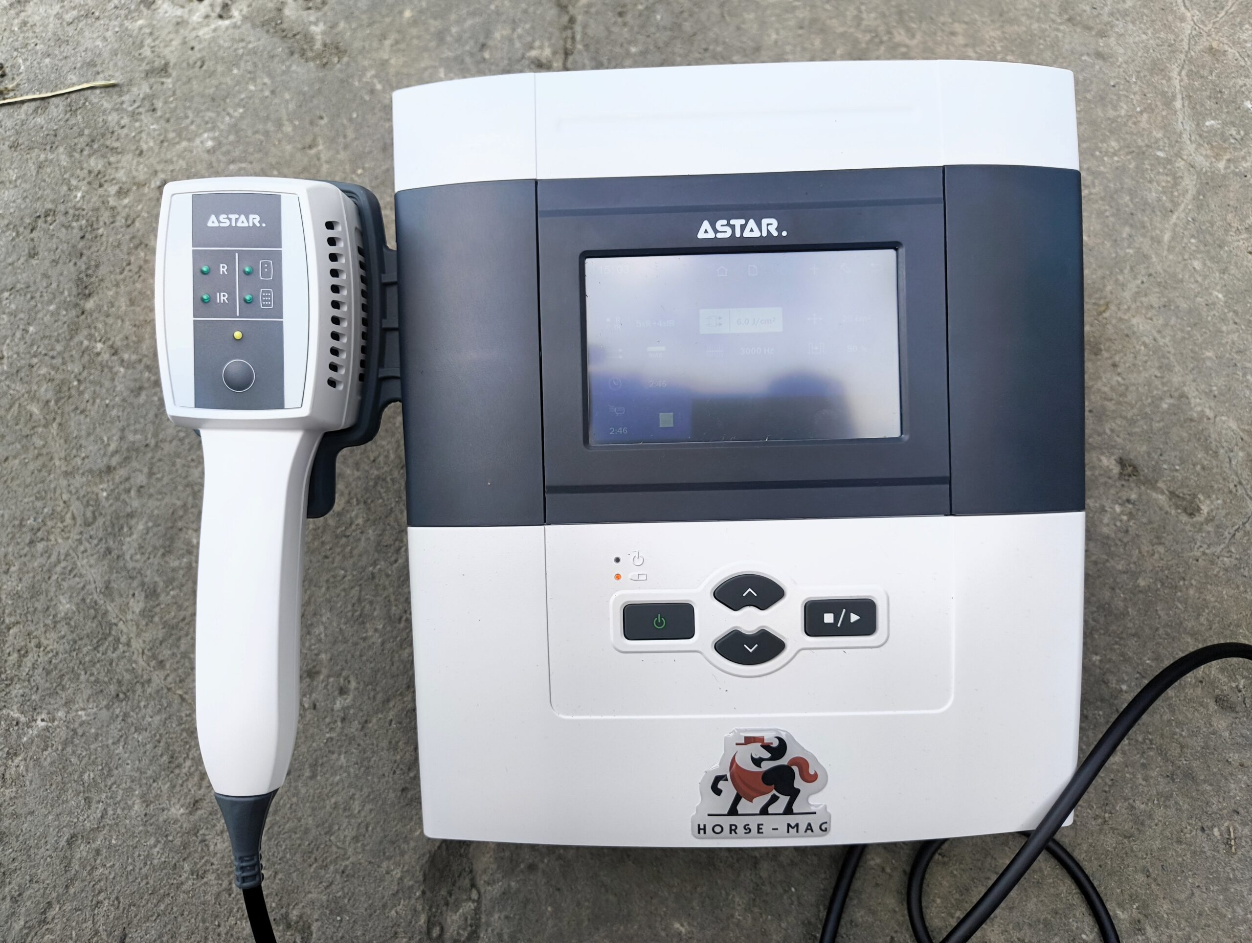 PHYSIOGO.LITE LASER wraz z aplikatorem CL1800 podczas wizyty w stajni