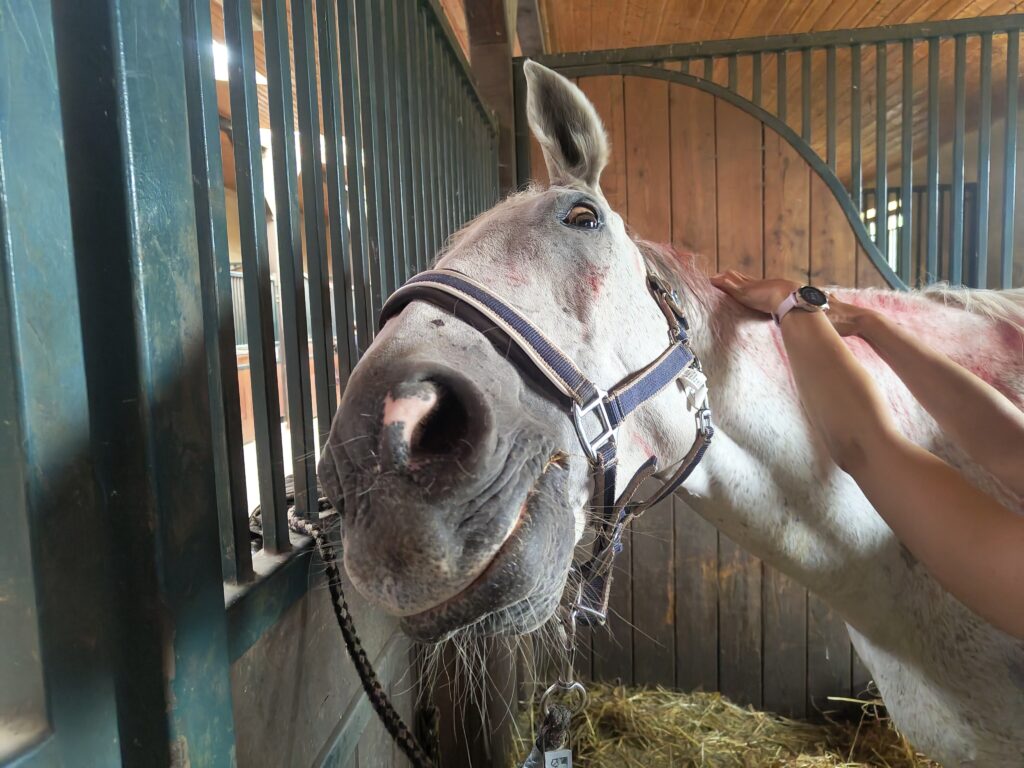 zadowolony "pacjent" w trakcie części praktycznej kursu masażu