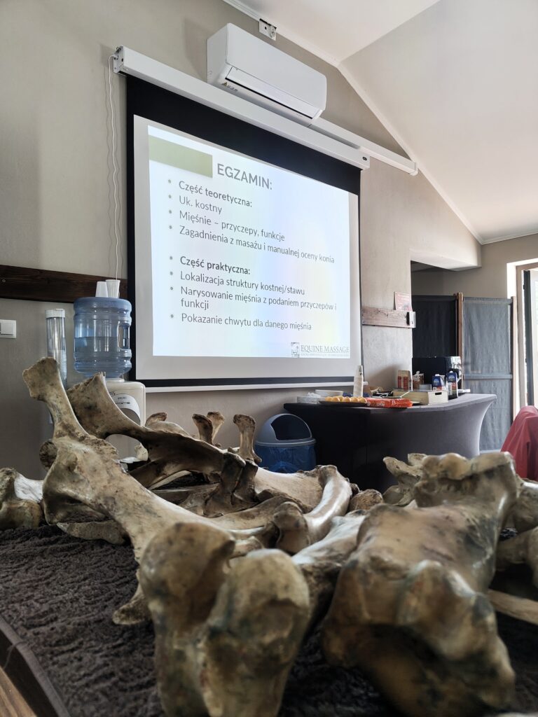 przygotowania do egzaminu kończącego kurs