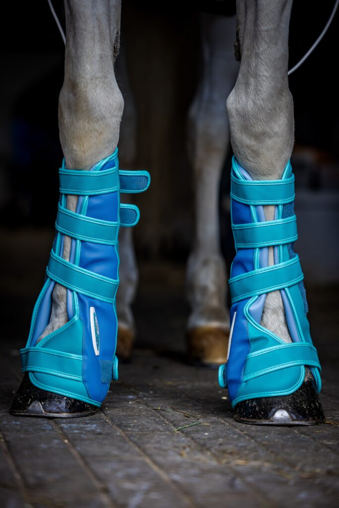 wysokie aplikatory na kończyny konia - 7 mT - nowość od firmy BIOMAG