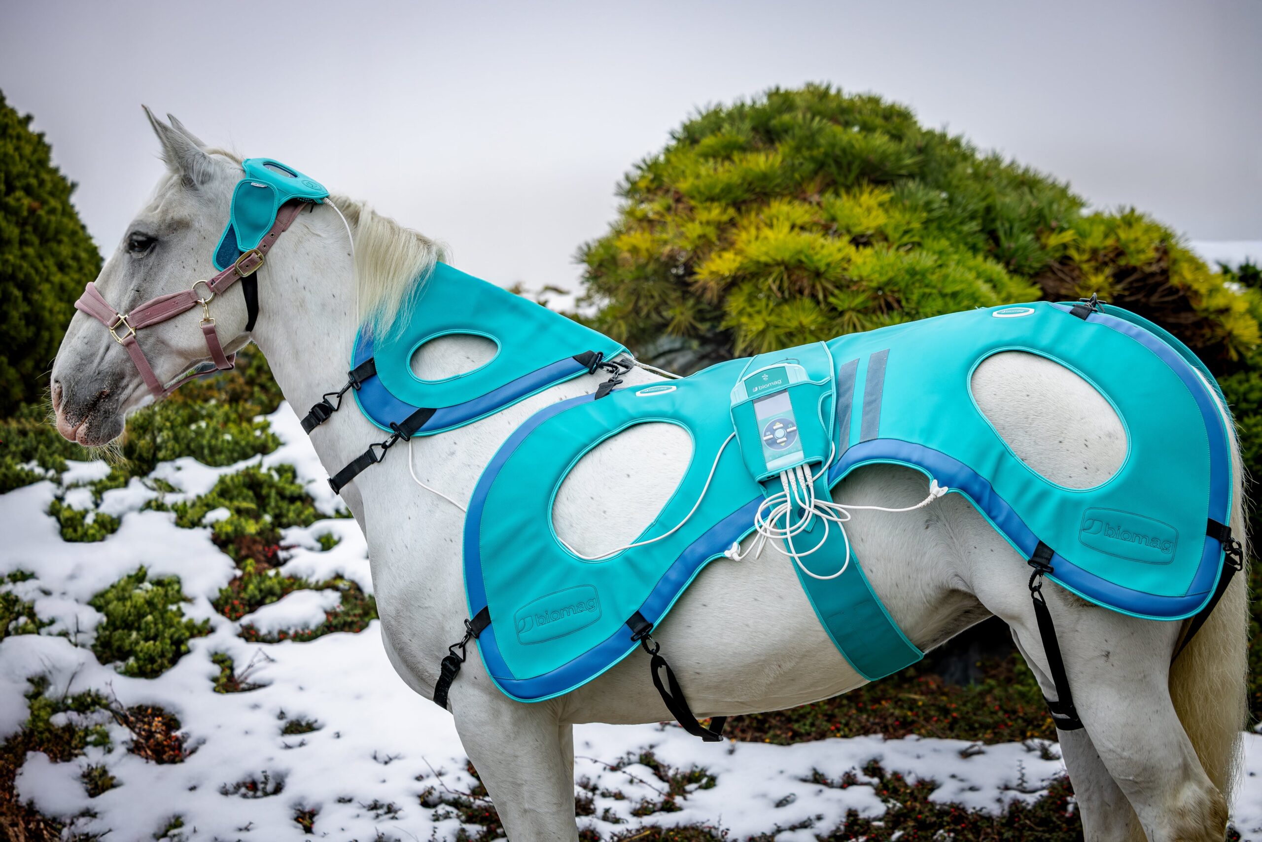 najnowsze aplikatory do terapii polem magnetycznym firmy BIOMAG