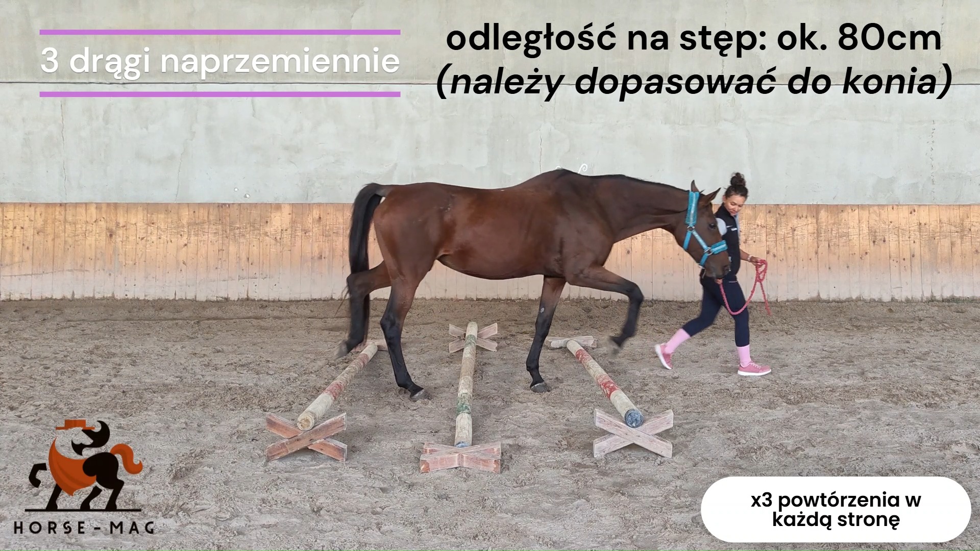 Ćwiczenia ruchowe – praca na drążkach z koniem
